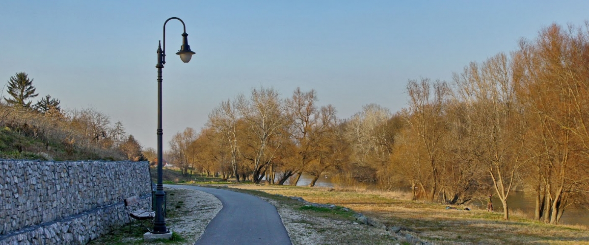 Rácalmási szigetfutás - Kerékpárút a Rácalmási-Duna mellett Fotó: Bokor Istvánné